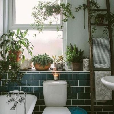封闭卫生间放什么植物？封闭卫生间设计图