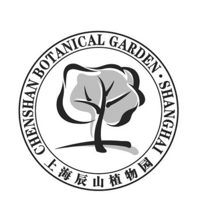 植物什么意思网络用语？上海意植创意设计有限公司