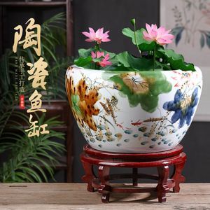 莲花缸里适合养什么鱼？庭院水池莲花状设计图