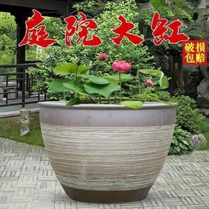莲花缸里适合养什么鱼？庭院水池莲花状设计图