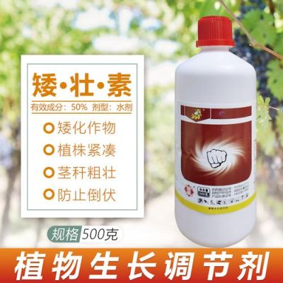 50%矮壮素用于花卉的使用方法？花卉50平方室内设计