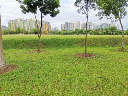 小区做绿化（石头、草地、树木等等）这些设计、材料正常利润是多少？居住小区绿地设计图