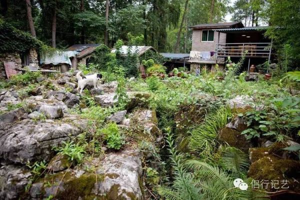 想在黑龙江一带找一处山野山林过隐居生活，有合适的地方吗？森畔室内设计怎么样