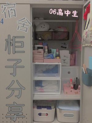 宿舍收纳好物推荐？宿舍收纳设计图片欣赏