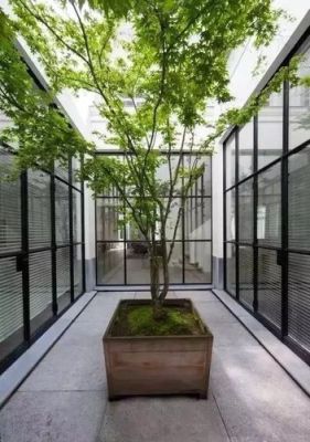 中间户连廊天井如何利用？天井与花园设计