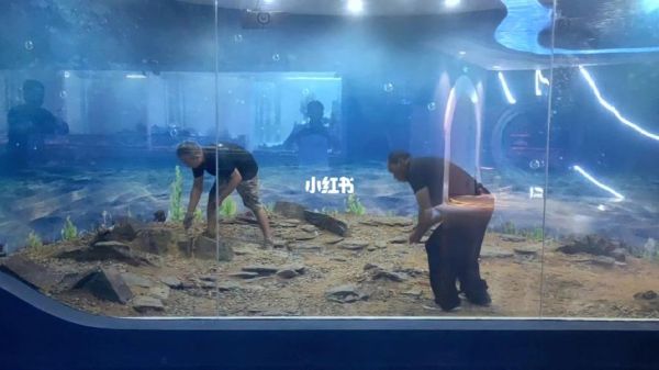 和平精英水族馆怎么放鱼到鱼缸里？海洋馆鱼缸多层设计图