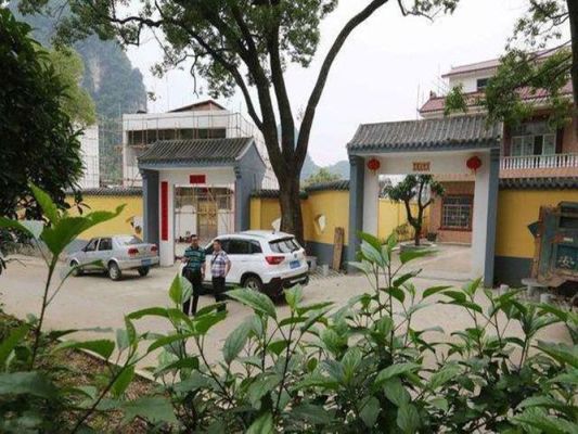农村家门口种什么树遮阴好？农村门前设计图片大全