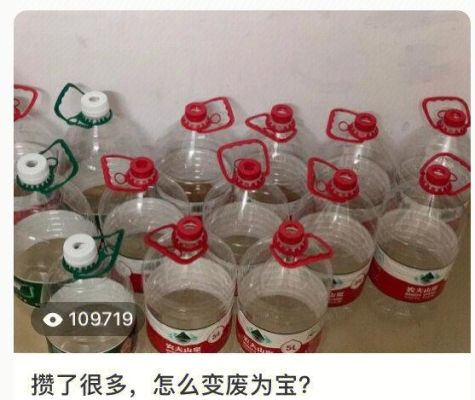 矿泉水瓶创意手工制作大全,趣味变废为宝手工制作？有创意的设计废物利用