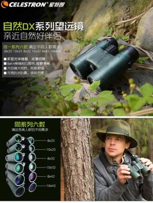 星特朗原野和自然区别？原野趣的设计师