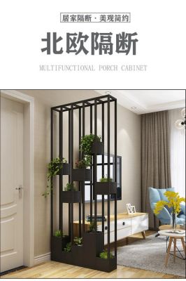 玄关走廊可以放花架吗走廊门玄关设计效果图大全