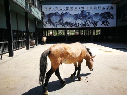野马生态园游玩攻略？室内生态园设计图片