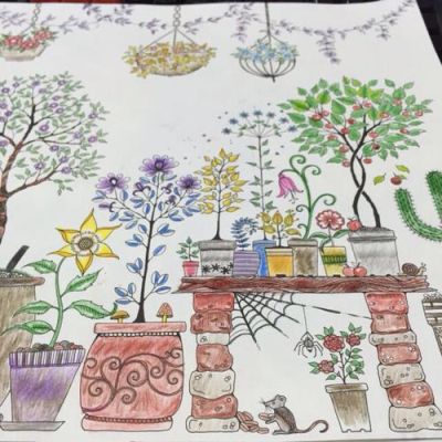 秘密花园中的花园发生的了什么样的变化？庄园花园设计图