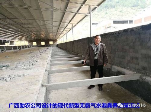 水泡粪猪舍怎么建？猪舍设计图漏