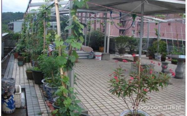 农村楼顶不要楼梯房怎么弄？农村顶楼花园设计实景图