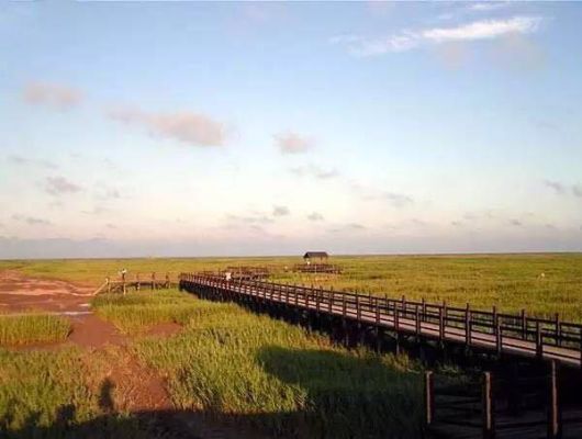 崇明东滩湿地公园有几个大门入口？公园入口大门设计说明怎么写