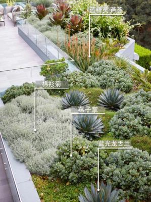 屋顶花园里适合种些什么植物？房顶多肉花园设计