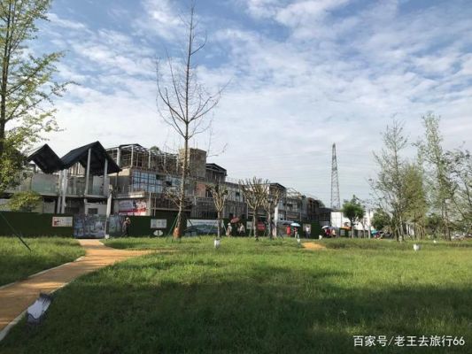 成都三圣乡花香农居附近有拿回家做的手工话吗？（100平方米农居房设计图片）