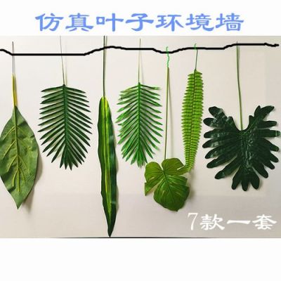 幼儿园生活区擦叶子的教案？（公司绿植区域怎么设计）