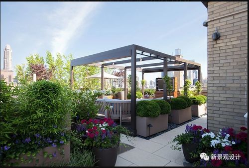 房顶花棚建造方法？（小别墅楼顶花园设计）