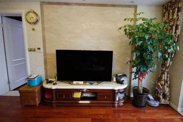 客厅电视柜两边放2盆同样花好吗？（客厅电视柜两边设计图）