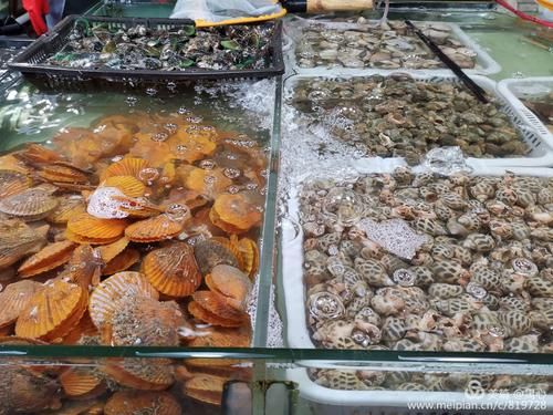 塘沽海鲜市场批发哪里最便宜求解？（海鲜厅设计）