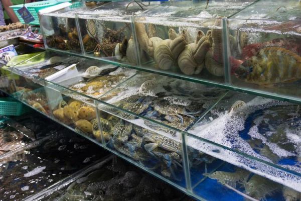 塘沽海鲜市场批发哪里最便宜求解？（海鲜厅设计）