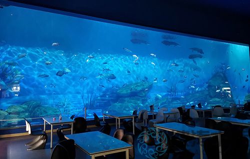 上海海昌海洋公园餐厅有团购吗？（国外海底主题餐厅设计）