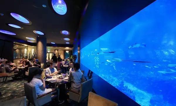 上海海昌海洋公园餐厅有团购吗？（国外海底主题餐厅设计）