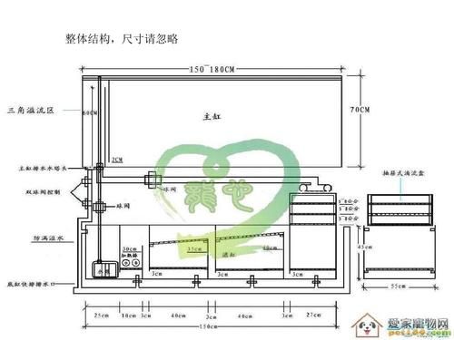 敦玉810品种介绍？（810农村建房设计图）