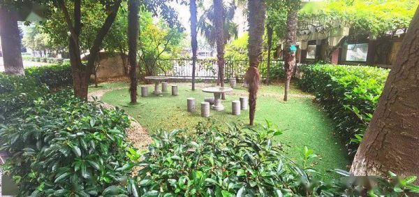 描述学校的小花园有什么词？（学校小花园设计实景图）
