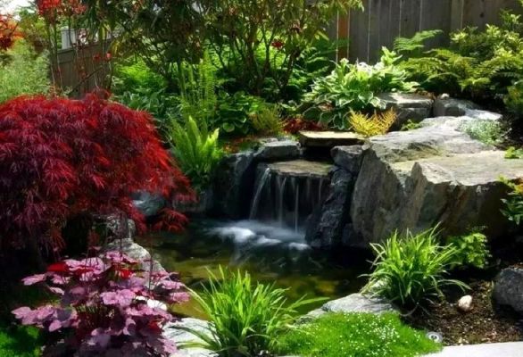 花园水池如何使水清澈？（家庭花园水景设计实景图）