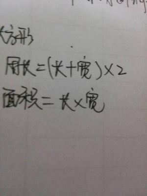 一个周长为100厘米长方形中套了一个周长80厘米的正方形，请问大长方形的面积是多少呢？（100平方套房长方形设计图）