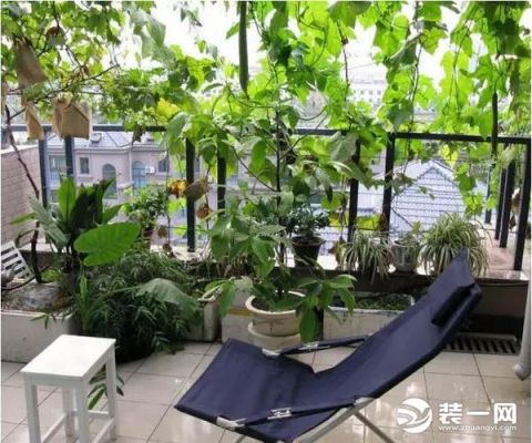 昆山有房子带小块地种菜吗？（昆山别墅菜园设计）