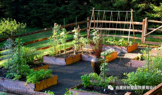 100平方的院子如何设计菜地？（100平庭院设计效果图）